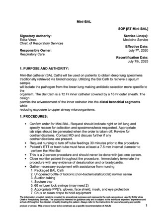 Mini-BAL Protocol Thumbnail